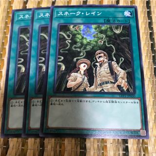 マドレース スネーク・レイン ノーマル