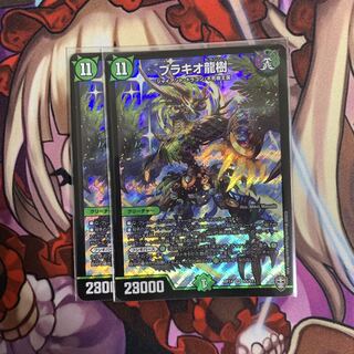 ブラキオ龍樹　2枚セット