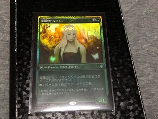 楽園のドルイド