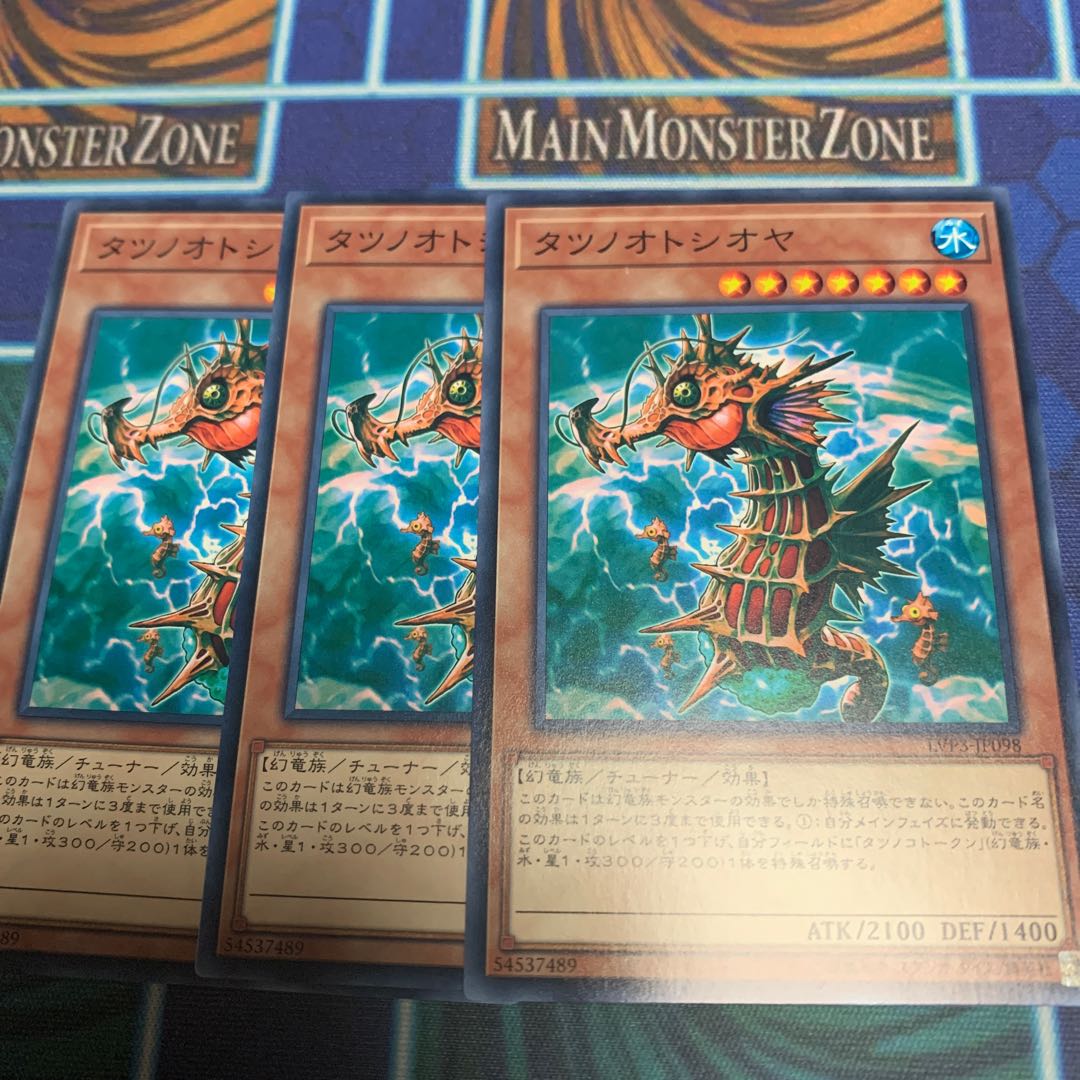 タツノオトシオヤ ノーマル