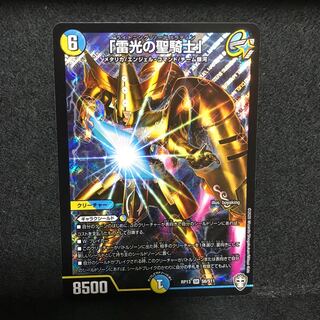 「雷光の聖騎士」