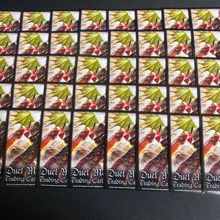 EXカードプロテクト　無双竜機ボルバルザーク