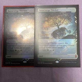予約済み剃刀境の茂み 英　foil ZNE 2枚セット