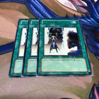 専用 ガメシエル 3枚 二重召喚 3枚