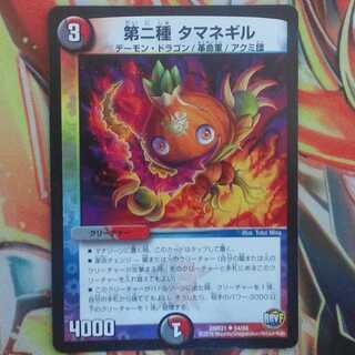 第二種 タマネギル