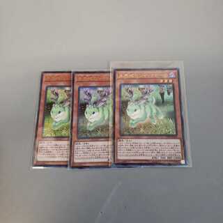 未界域のジャッカロープ 3枚