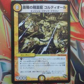 しろさん専用出品 1枚