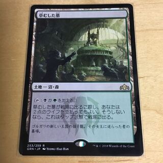 草むした墓/Overgrown Tomb 日本語1枚