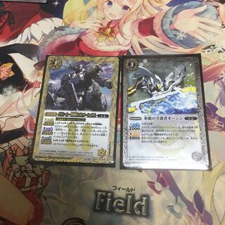 あるてみす様専用 1枚