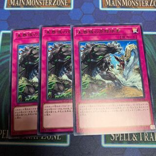 未界域の危険地帯 レア