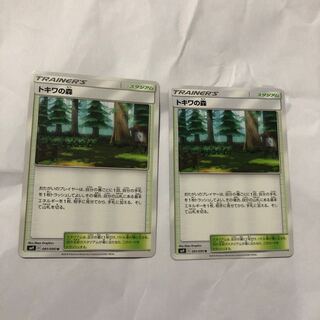 トキワの森 2枚 セット