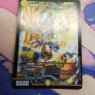 神聖龍 エモーショナル・ハードコア