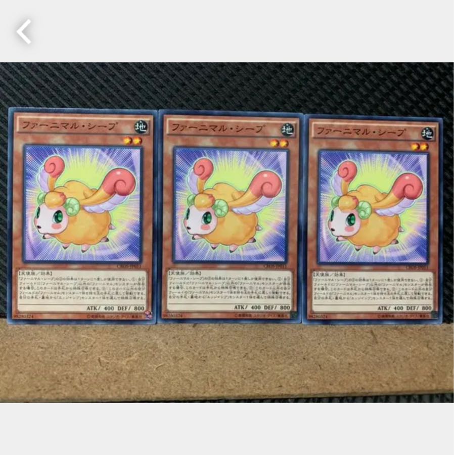 【ぽぽたん】遊戯王 5049 ファーニマル・シープ 3枚 ノーマル