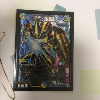 「雷光の聖騎士」