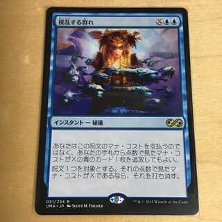 撹乱する群れ/Disrupting Shoal 日本語1枚