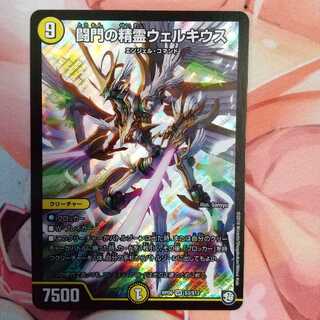 闘門の精霊ウェルキウス