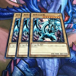 青眼の白龍 3枚