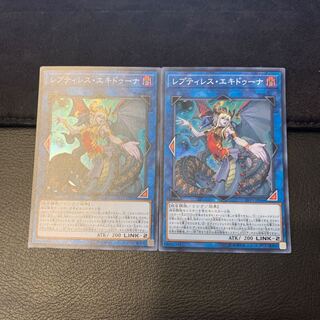 レプティレス・エキドゥーナ スーパーレア