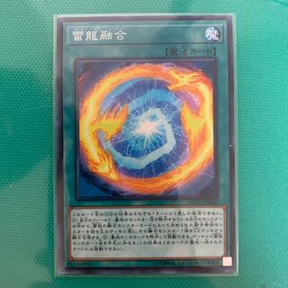 雷龍融合 ノーマル