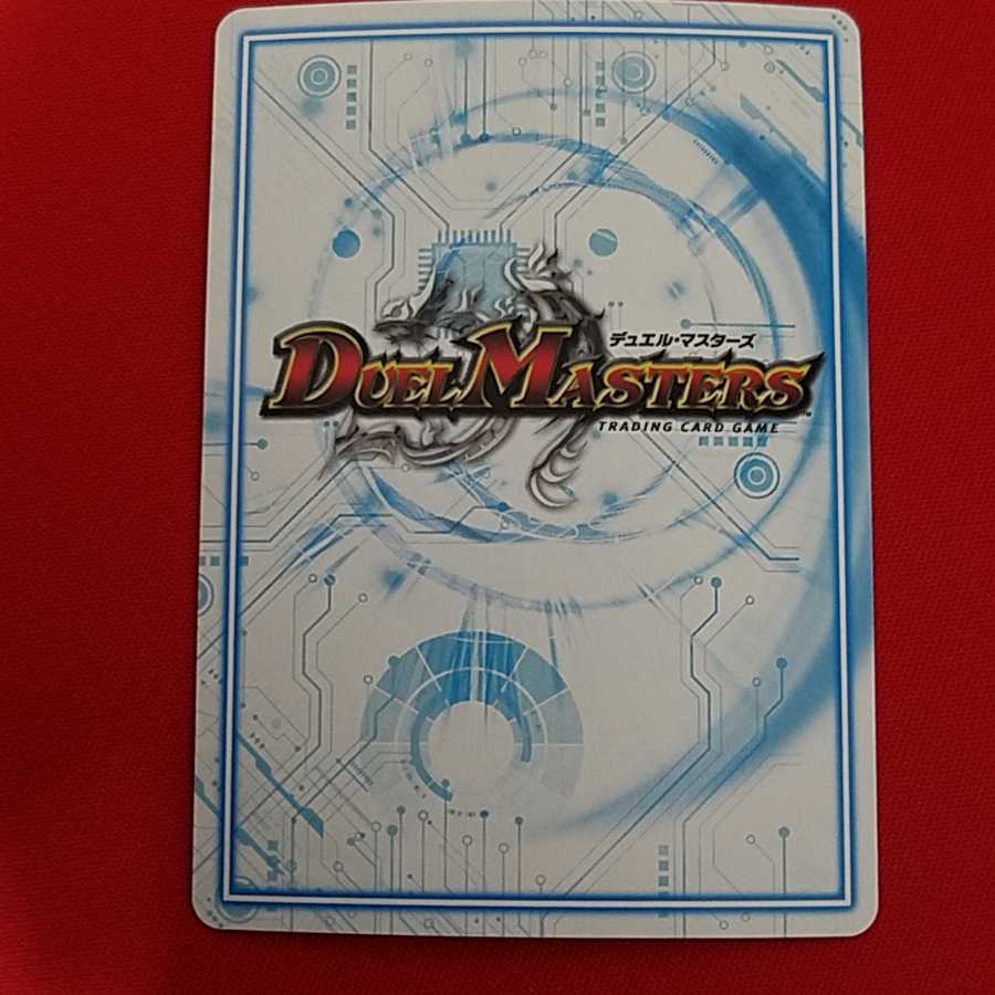 サヴァクティスシク