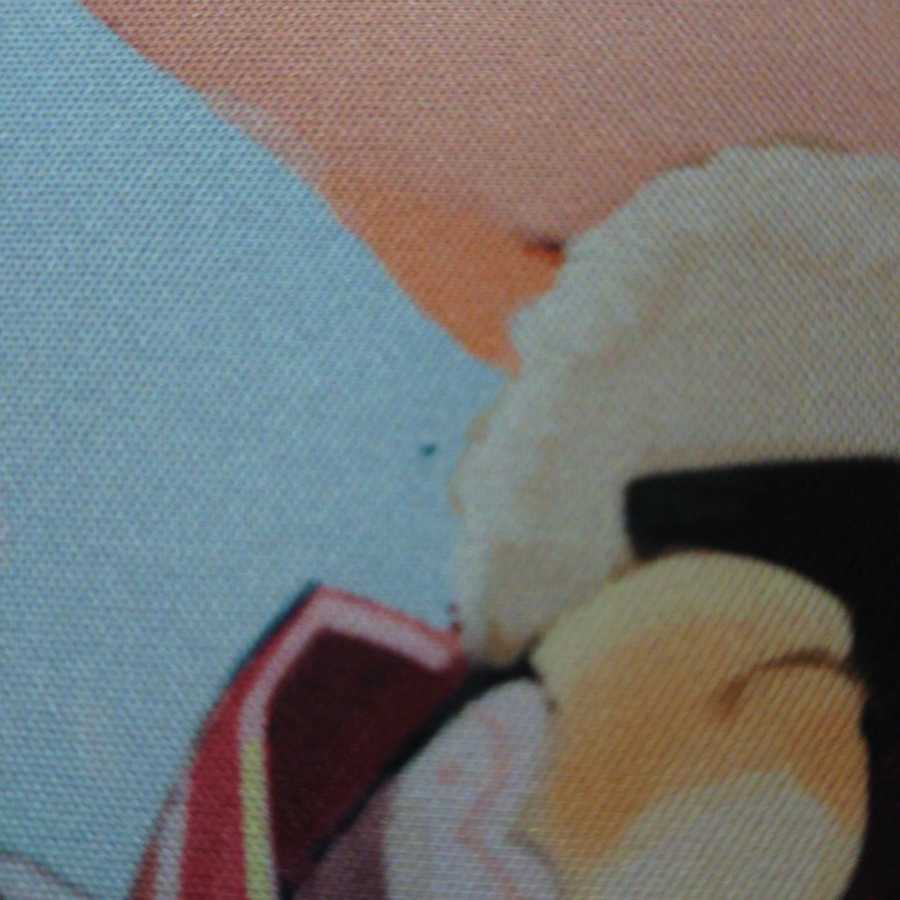 フェアリーライフ プレイマット GP10th