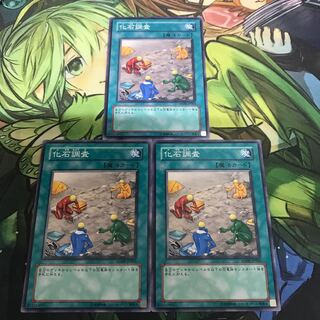 複数購入☆割有　化石調査3枚