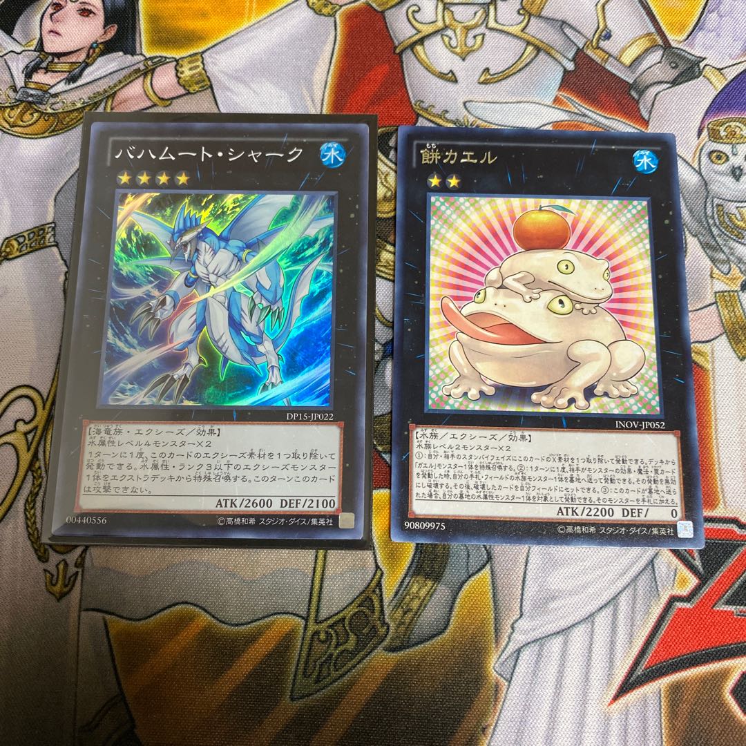 ◉バハムート・シャーク スーパーレア&餅カエル　レア