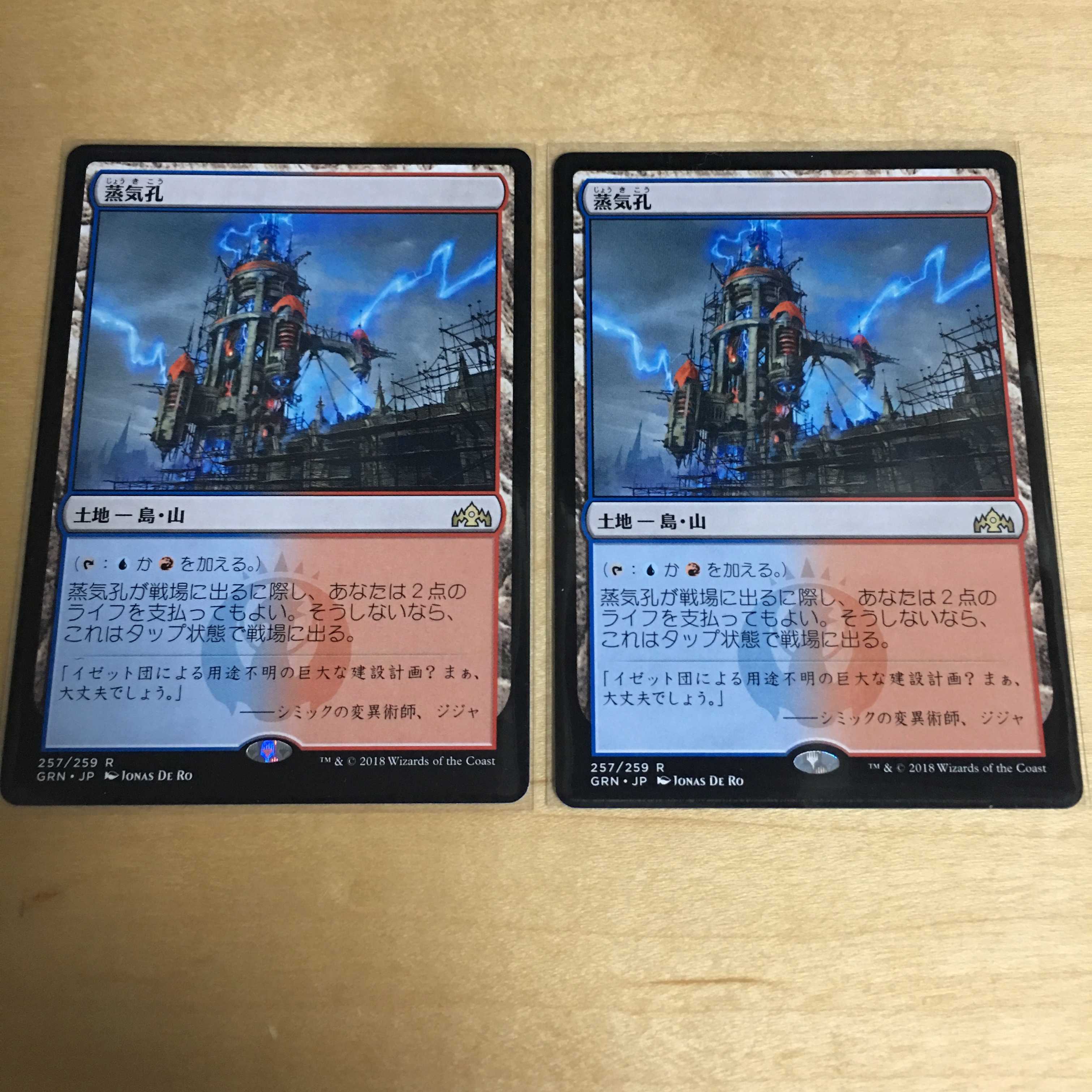 蒸気孔/Steam Vents 日本語2枚 GRN