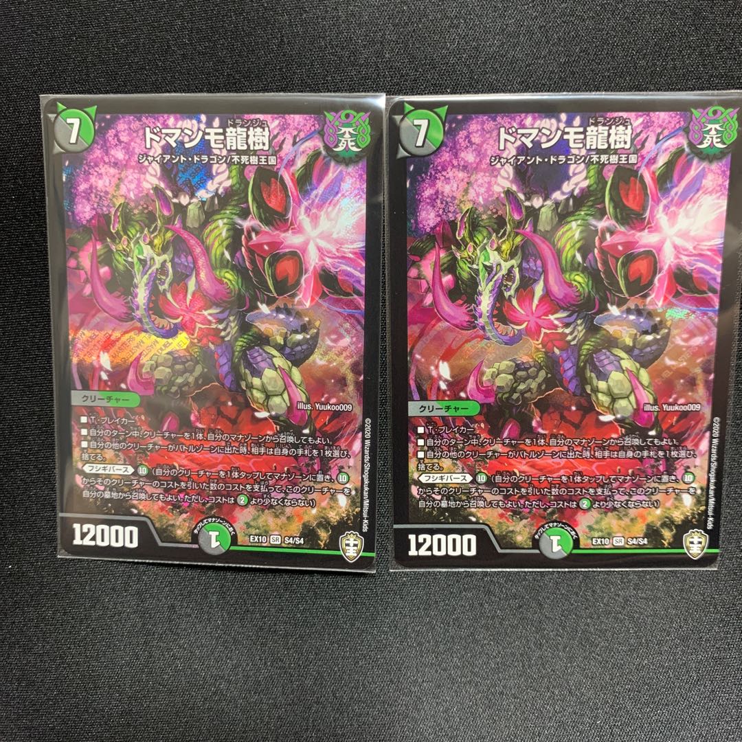 ドマンモ龍樹2枚セット