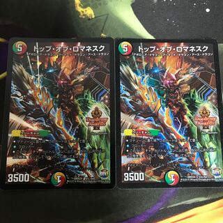 翌日発送　トップオブロマネスク　シク　2枚