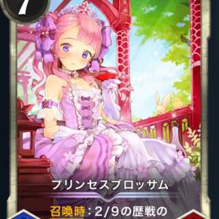 【過去最安値】プリンセスブロッサム