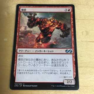 憤怒/Anger 日本語1枚