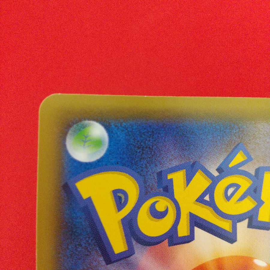 しんかのおこう 4枚セット