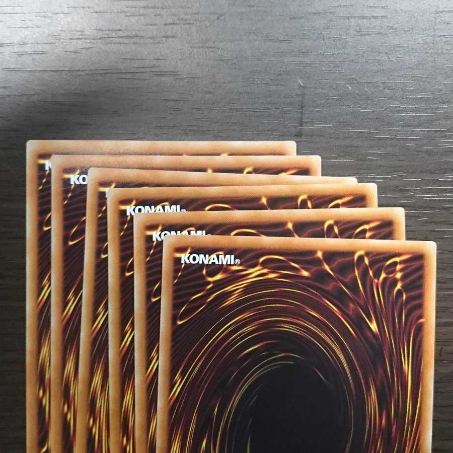 アロマージ セット ローリエ マジョラム 6枚セット