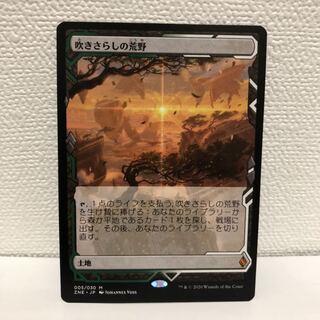 吹きさらしの荒野