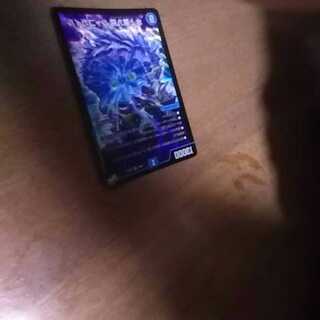 水上第九院 シャコガイル