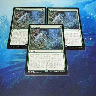 【MTG】むかしむかし(日)　3枚セット