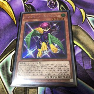 トゥーンハーピィレディ