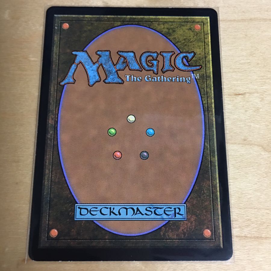 植物の聖域/Botanical Sanctum 日本語1枚