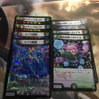 気まぐれ特価！ ライマードルイ ベラドアネ ビバラ龍樹 ジターナイト