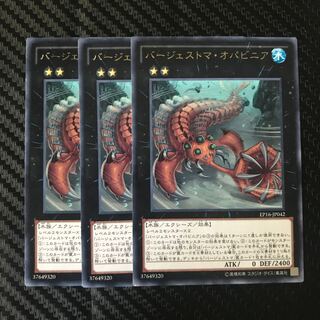 バージェストマ・オパビニア レア