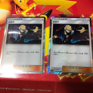 シロナ TR 2枚セット