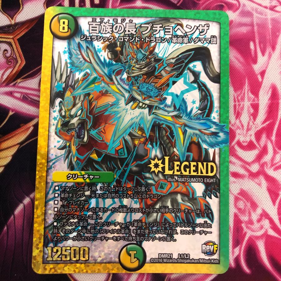 百族の長 プチョヘンザ