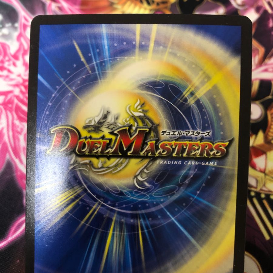 百族の長 プチョヘンザ