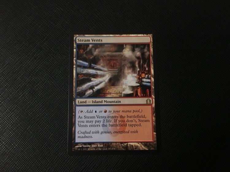 《蒸気孔/Steam Vents》[RTR] 土地R