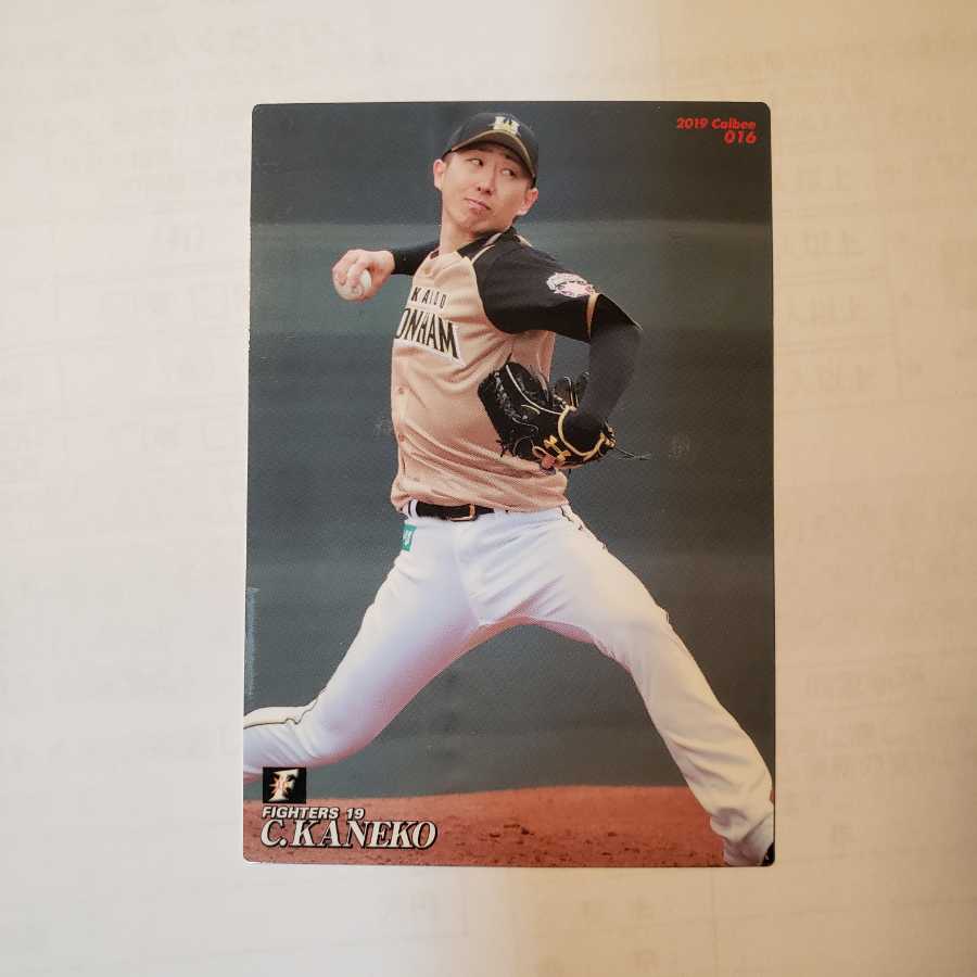 プロ野球チップス2019 北海道日本ハムファイターズ 金子弌大