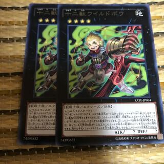 マドレース 十二獣ワイルドボウ レア