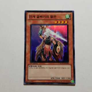 Yu-Gi-Oh, Falcon of the Misty Valley, Korea, final price reduction.