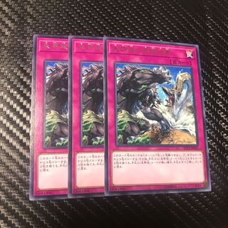 未界域の危険地帯 レア