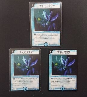 マリン・フラワー 1枚